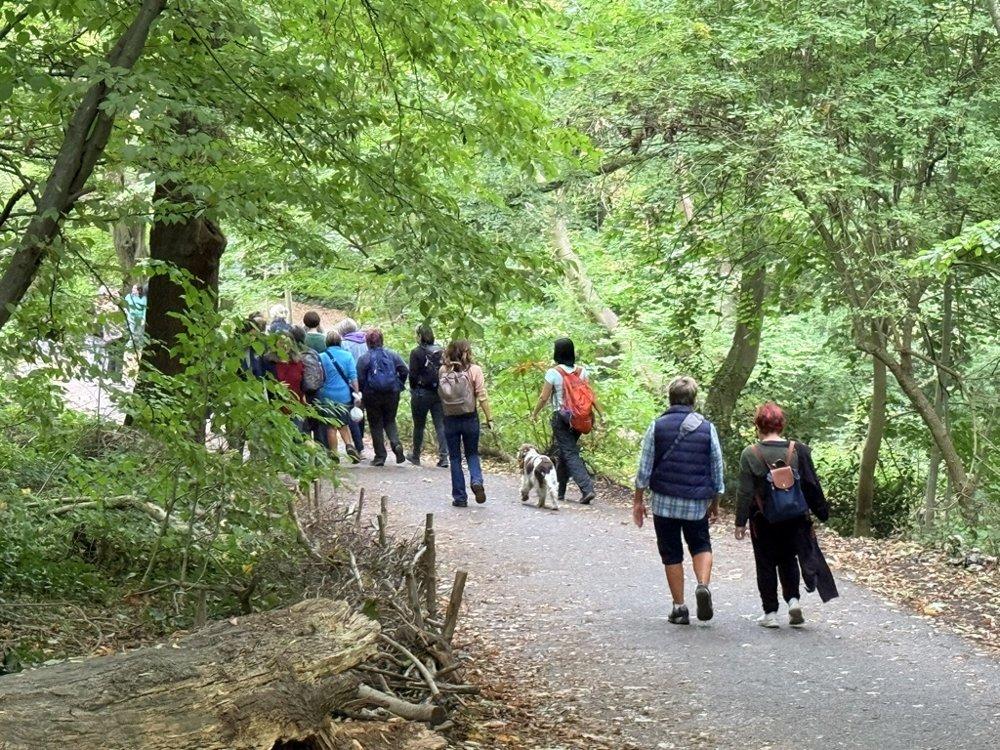 LIL group walk through London woodland